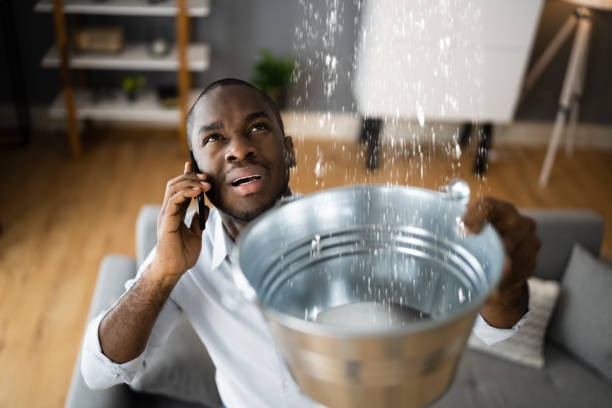 Water damage restoration mold remediation in Reeds Spring, MO