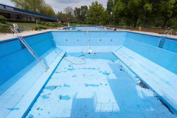 Best Mold removal after water damage  in Reeds Spring, MO