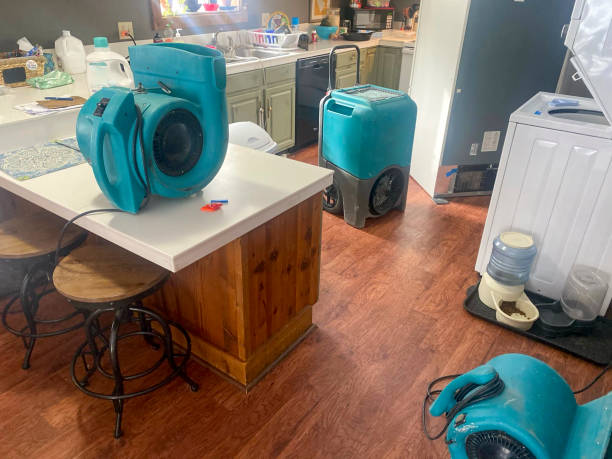 Best Water damage restoration mold remediation  in Reeds Spring, MO