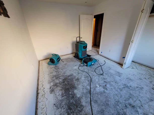 Best Basement water damage restoration  in Reeds Spring, MO