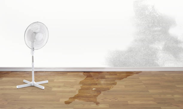 Reliable Reeds Spring, MO Water damage restoration Solutions