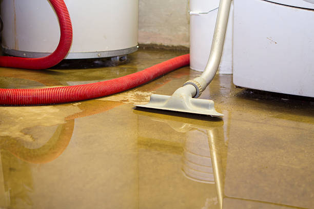  Reeds Spring, MO Water damage restoration Pros