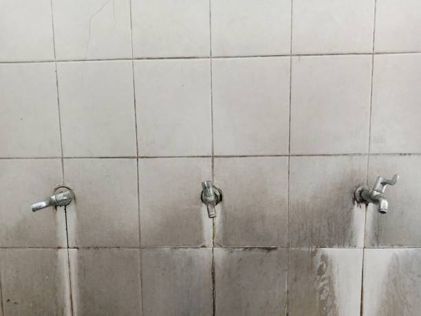 Best Water damage restoration company  in Reeds Spring, MO