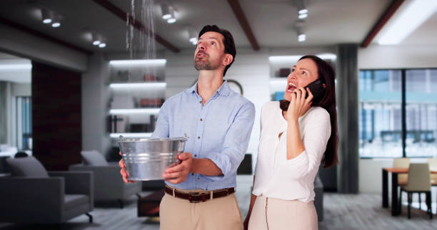 Best Flood damage cleanup  in Reeds Spring, MO