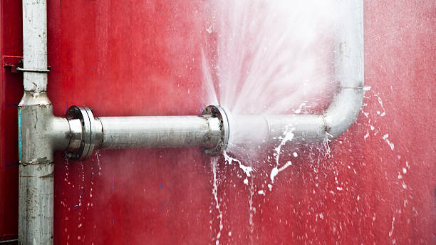 Best Flooded house restoration  in Reeds Spring, MO